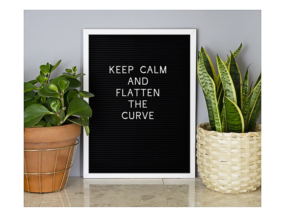 Calgary Photographers